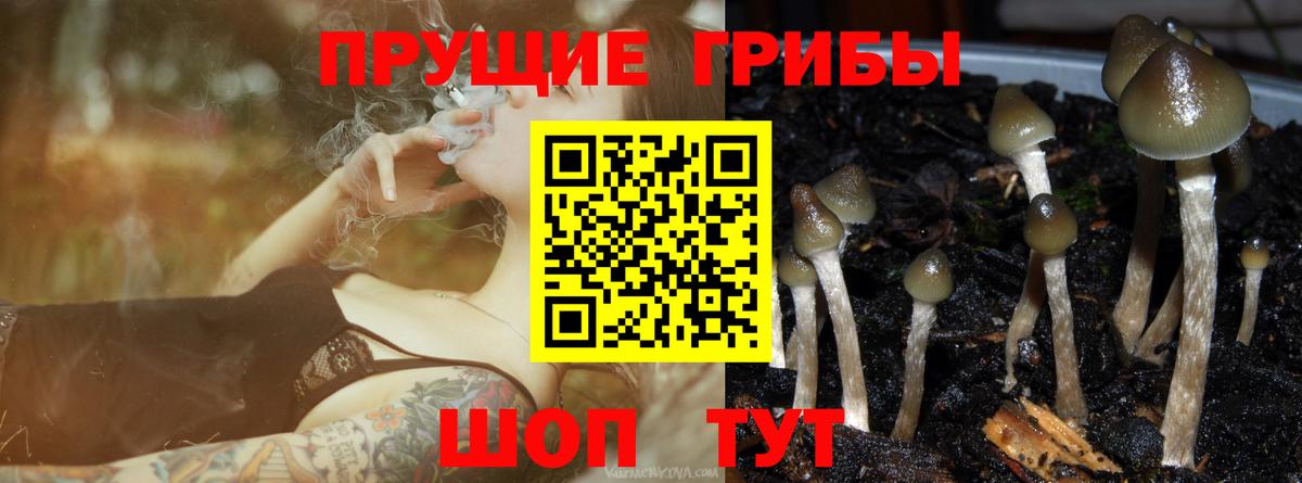 Псилоцибиновые грибы ЛСД Борисоглебск